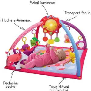 VTech Baby Lumi Tapis Des P'Tits Copains Rose - Tapis D'éveil- Tapis D'éveil Et Arches