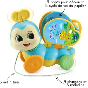 VTech Baby Rouli Livre Papillon - Baby Loulous- Animaux Interactifs