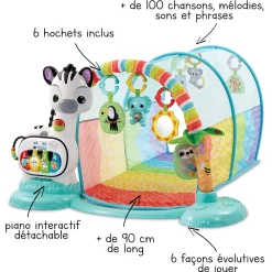 VTech Baby Super Tunnel Des Decouvertes 6 En 1- Tapis D'éveil Et Arches