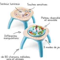 VTech Baby Table D'activités Evolutive Nature- Tables D'activités