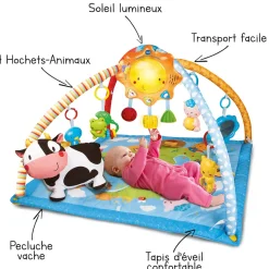 VTech Baby Tapis D'éveil Lumi Tapis Des P'Tits Copains- Tapis D'éveil Et Arches