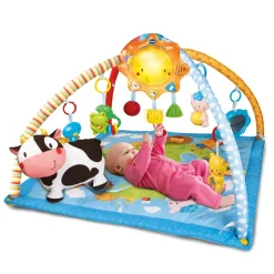 VTech Baby Tapis D'éveil Lumi Tapis Des P'Tits Copains- Tapis D'éveil Et Arches
